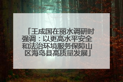 王成国在丽水调研时强调：以更高水平安全和法治环境服务保障山区海岛县高质量发展