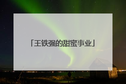 王铁强的甜蜜事业