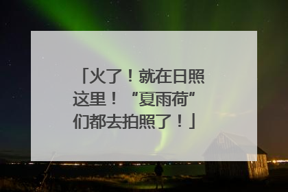 火了！就在日照这里！“夏雨荷”们都去拍照了！