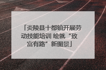 炎陵县十都镇开展劳动技能培训 绘就“致富有路”新图景