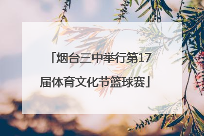 烟台三中举行第17届体育文化节篮球赛