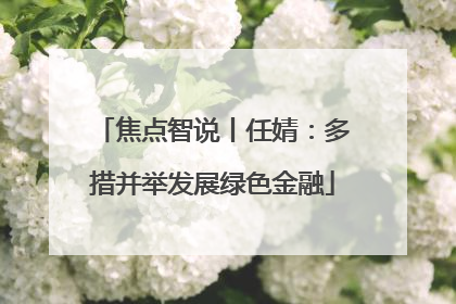 焦点智说丨任婧：多措并举发展绿色金融