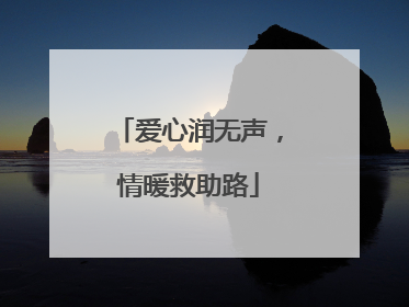 爱心润无声，情暖救助路