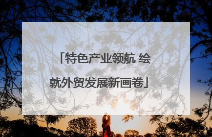 特色产业领航 绘就外贸发展新画卷