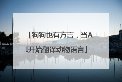狗狗也有方言，当AI开始翻译动物语言