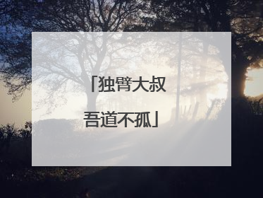 独臂大叔 吾道不孤
