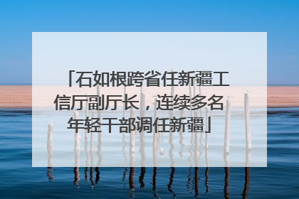 石如根跨省任新疆工信厅副厅长，连续多名年轻干部调任新疆