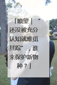 瞭望｜“还没被充分认知就难觅其踪”，谁来保护新物种？