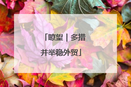 瞭望｜多措并举稳外贸