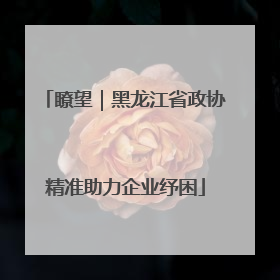 瞭望｜黑龙江省政协精准助力企业纾困