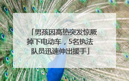 男孩因高热突发惊厥掉下电动车，5名执法队员迅速伸出援手