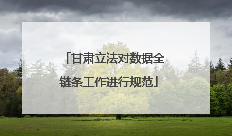 甘肃立法对数据全链条工作进行规范