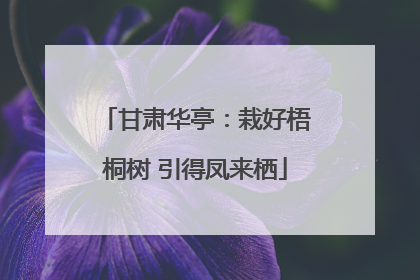 甘肃华亭：栽好梧桐树 引得凤来栖