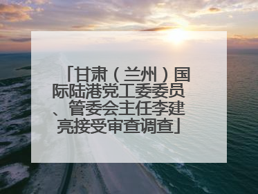 甘肃（兰州）国际陆港党工委委员、管委会主任李建亮接受审查调查