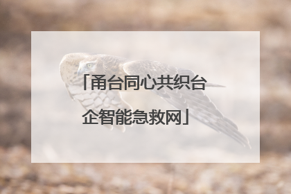 甬台同心共织台企智能急救网