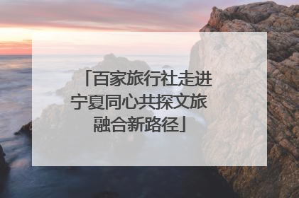 百家旅行社走进宁夏同心共探文旅融合新路径