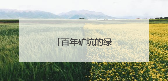百年矿坑的绿色“变形记”