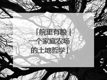 皖里有粮｜一个家庭农场的土地哲学