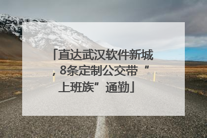 直达武汉软件新城，8条定制公交带“上班族”通勤