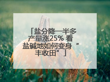盐分降一半多 产量涨25% 看盐碱地如何变身“丰收田”