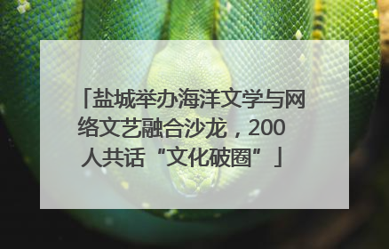 盐城举办海洋文学与网络文艺融合沙龙，200人共话“文化破圈”