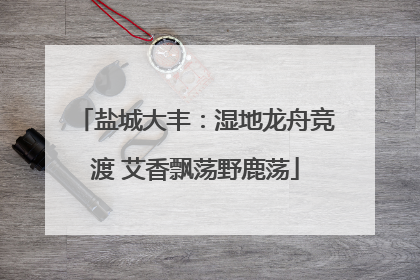 盐城大丰：湿地龙舟竞渡 艾香飘荡野鹿荡