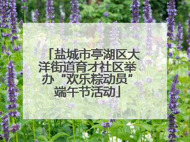盐城市亭湖区大洋街道育才社区举办“欢乐粽动员”端午节活动