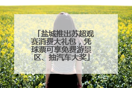 盐城推出苏超观赛消费大礼包，凭球票可享免费游景区、抽汽车大奖