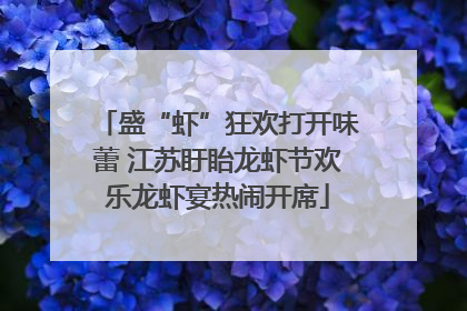 盛“虾”狂欢打开味蕾 江苏盱眙龙虾节欢乐龙虾宴热闹开席