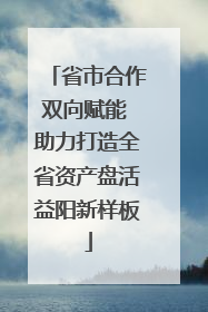 省市合作双向赋能 助力打造全省资产盘活益阳新样板