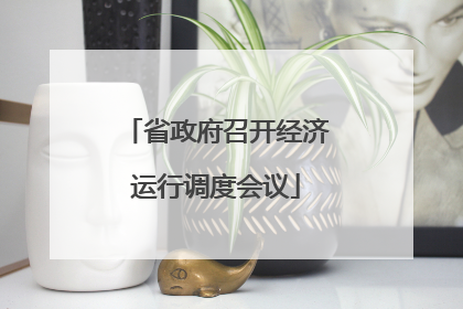 省政府召开经济运行调度会议