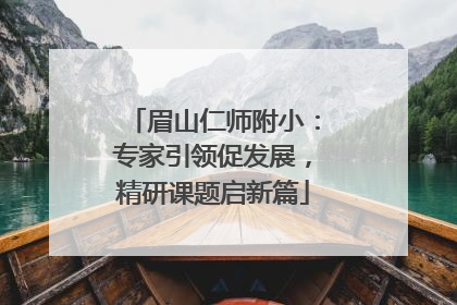 眉山仁师附小：专家引领促发展，精研课题启新篇