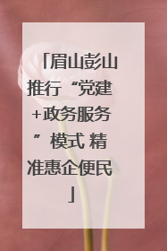 眉山彭山推行“党建+政务服务”模式 精准惠企便民