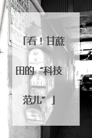 看！甘蔗田的“科技范儿”