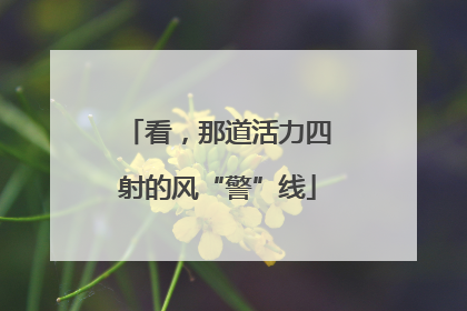 看，那道活力四射的风“警”线