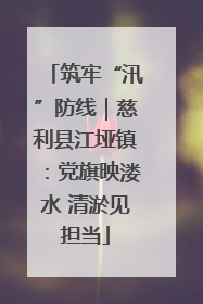 筑牢“汛”防线｜慈利县江垭镇：党旗映溇水 清淤见担当