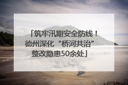筑牢汛期安全防线！德州深化“桥河共治”整改隐患50余处