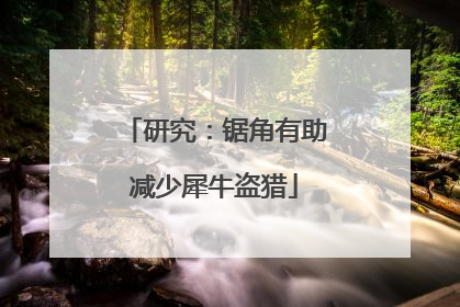 研究：锯角有助减少犀牛盗猎