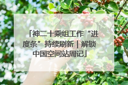 神二十乘组工作“进度条”持续刷新｜解锁中国空间站周记
