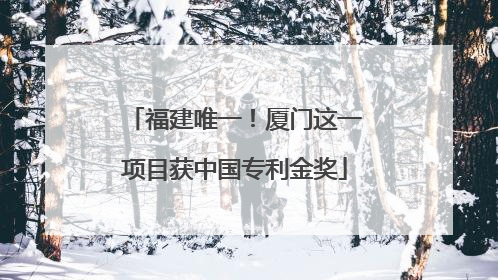 福建唯一！厦门这一项目获中国专利金奖