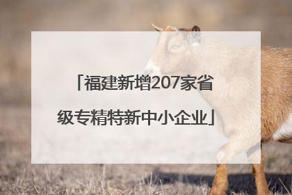 福建新增207家省级专精特新中小企业