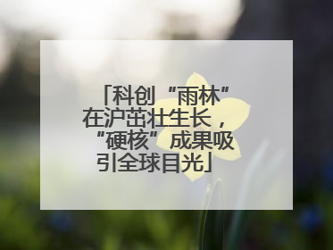 科创“雨林”在沪茁壮生长，“硬核”成果吸引全球目光