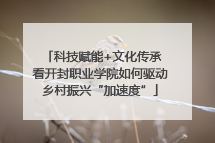 科技赋能+文化传承 看开封职业学院如何驱动乡村振兴“加速度”