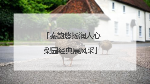 秦韵悠扬润人心 梨园经典展风采