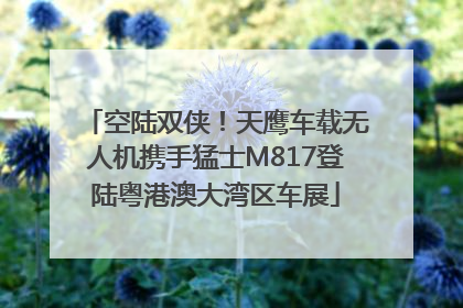 空陆双侠！天鹰车载无人机携手猛士M817登陆粤港澳大湾区车展