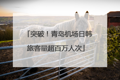 突破！青岛机场日韩旅客量超百万人次