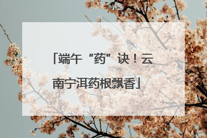 端午“药”诀！云南宁洱药根飘香