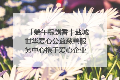 端午粽飘香｜盐城世华爱心公益慈善服务中心携手爱心企业发起情暖“城市守护者”慰问活动