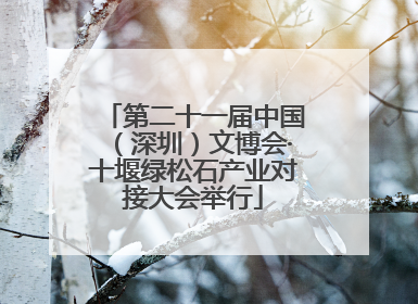 第二十一届中国（深圳）文博会·十堰绿松石产业对接大会举行