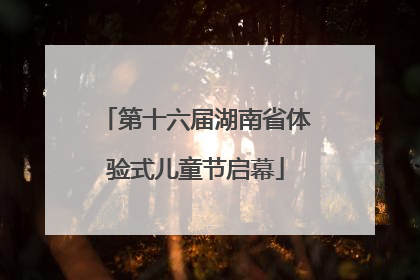 第十六届湖南省体验式儿童节启幕